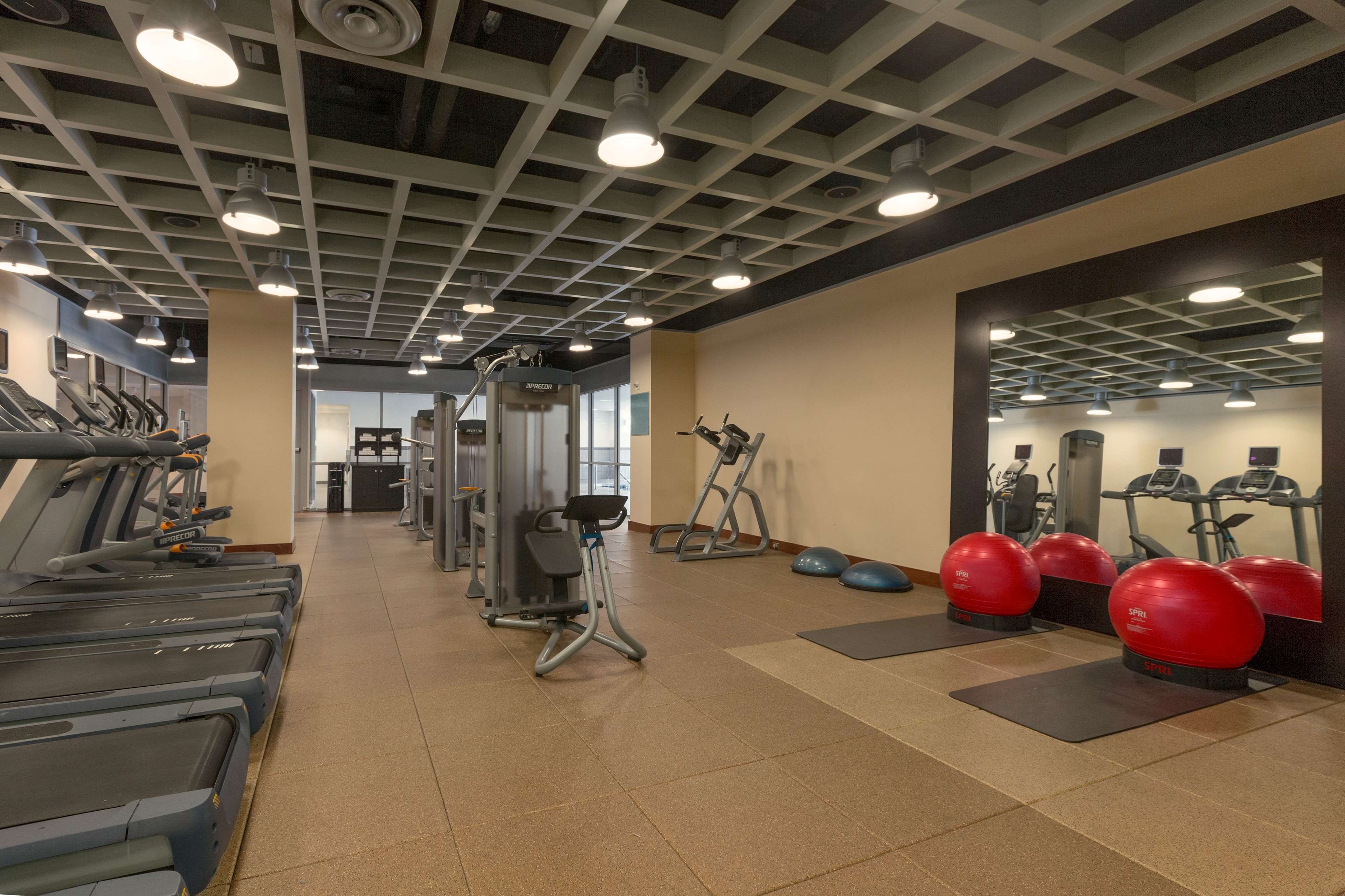 Health club  fitness center  gym