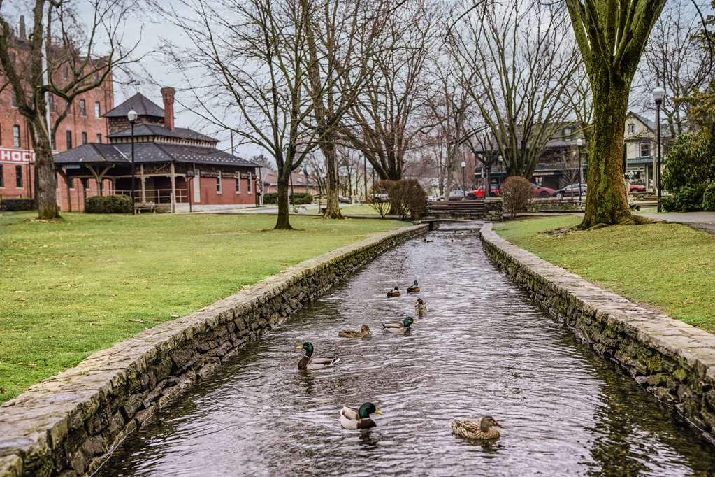 The Wilbur Lititz, Tapestry Collection by Hilton Image