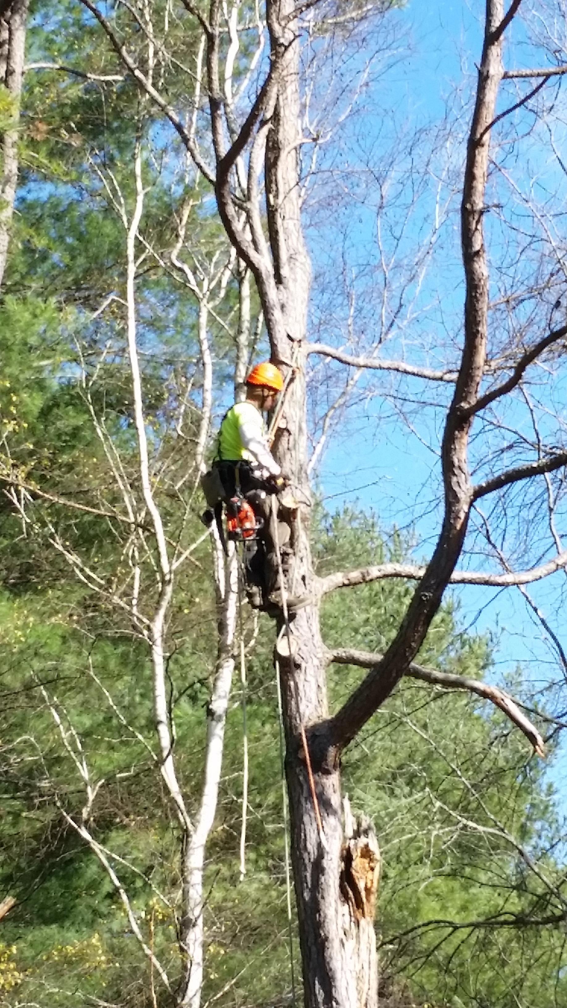 Getting ready to set the rigging