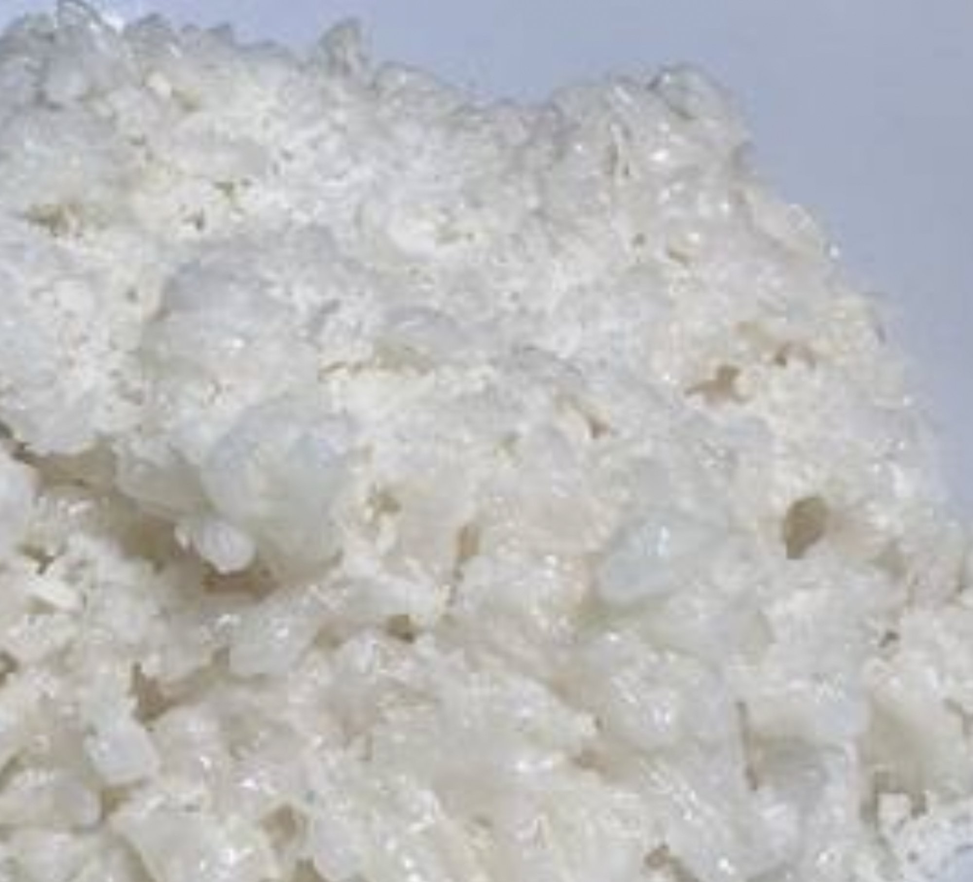 Risotto