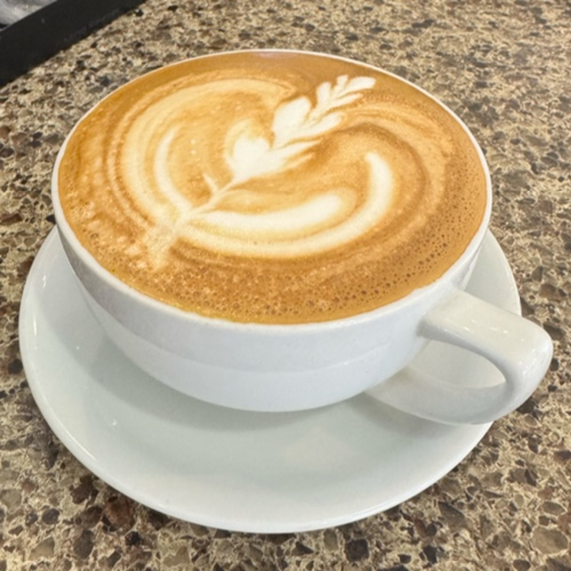 Java Chip Latte
