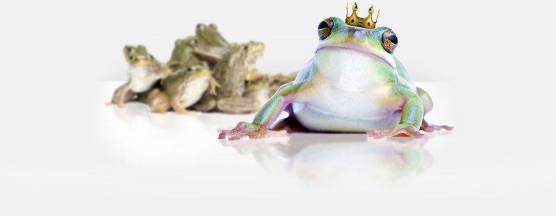 Gallery thumbnail