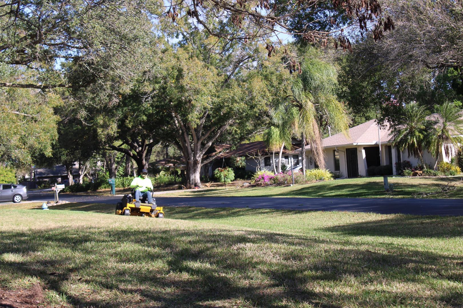 Royal Landscapes Image