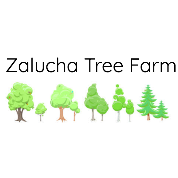 Zalucha Tree Farm Logo