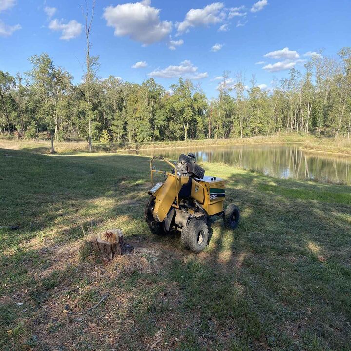 Johnston Stump Grinding Image