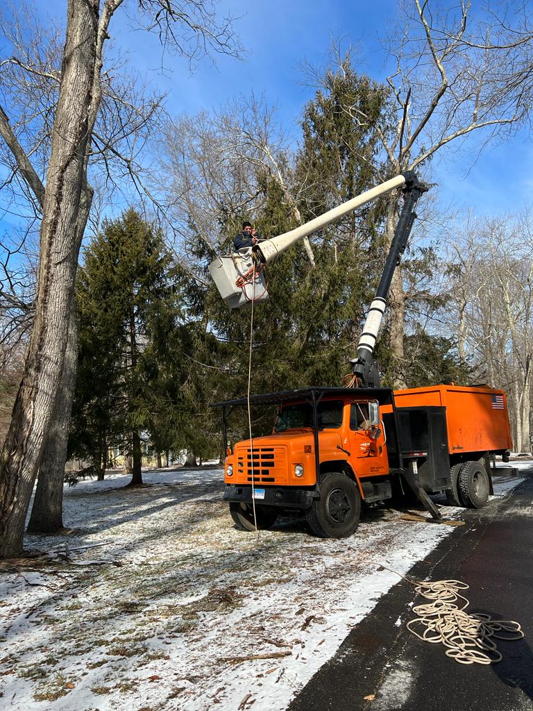 Lozada's Landscaping & Tree Services LLC Image