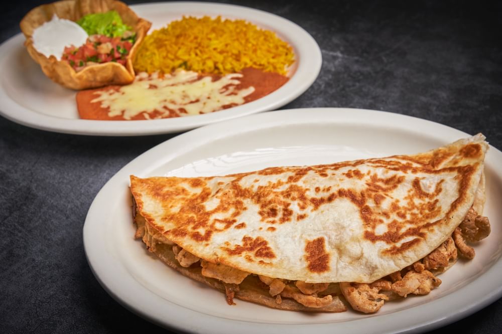 Fajita Quesadilla