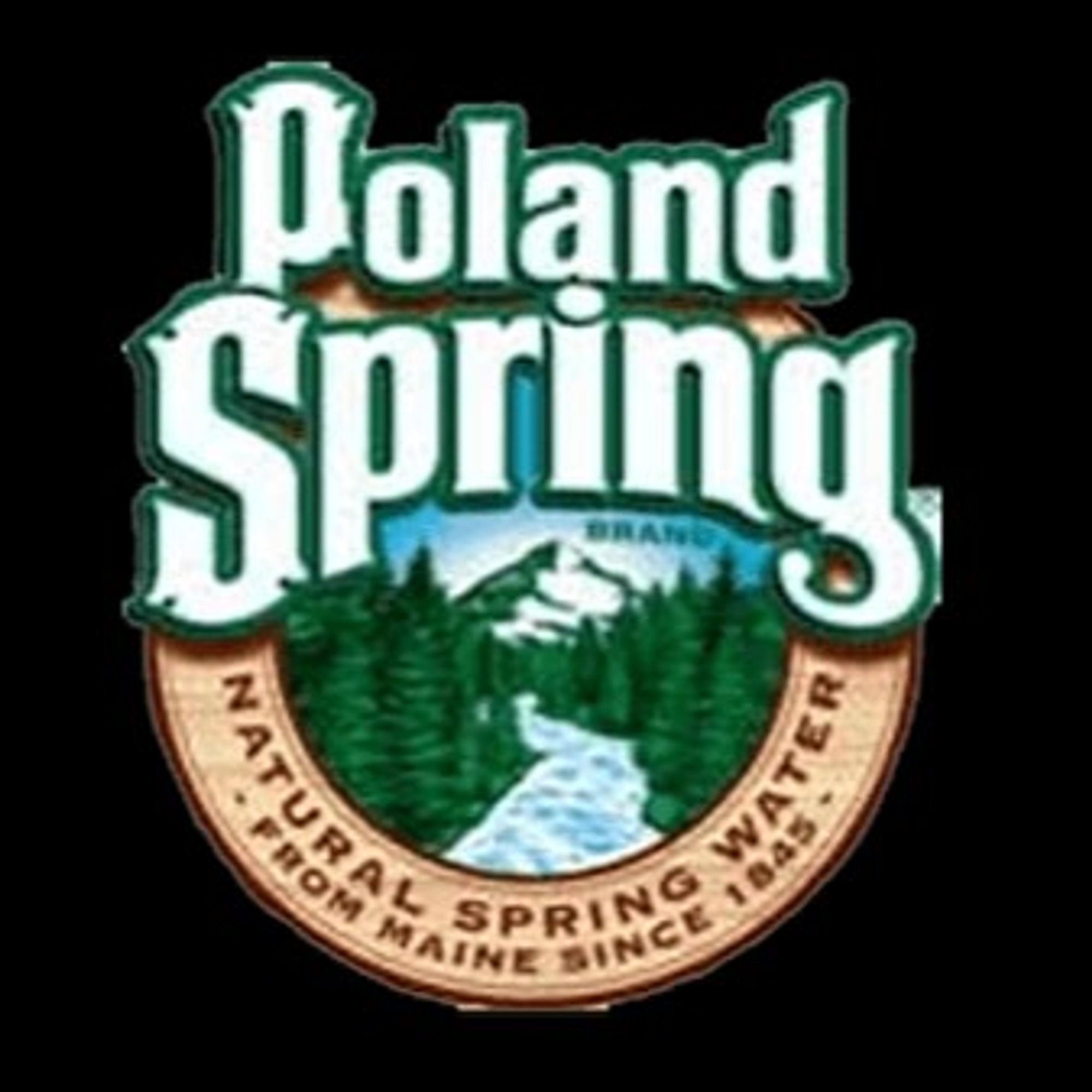 Poland Spring 1L