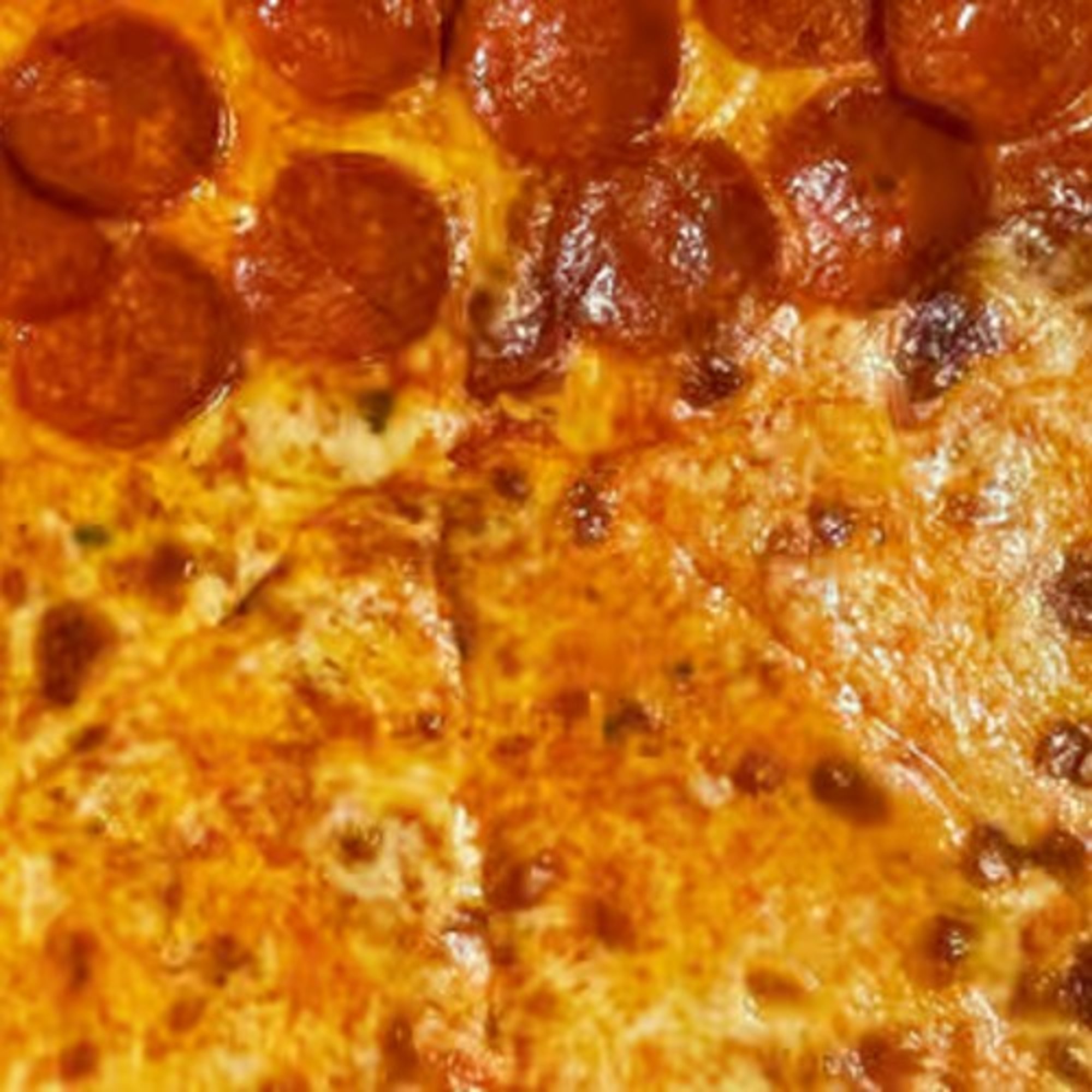 Plain Pizza