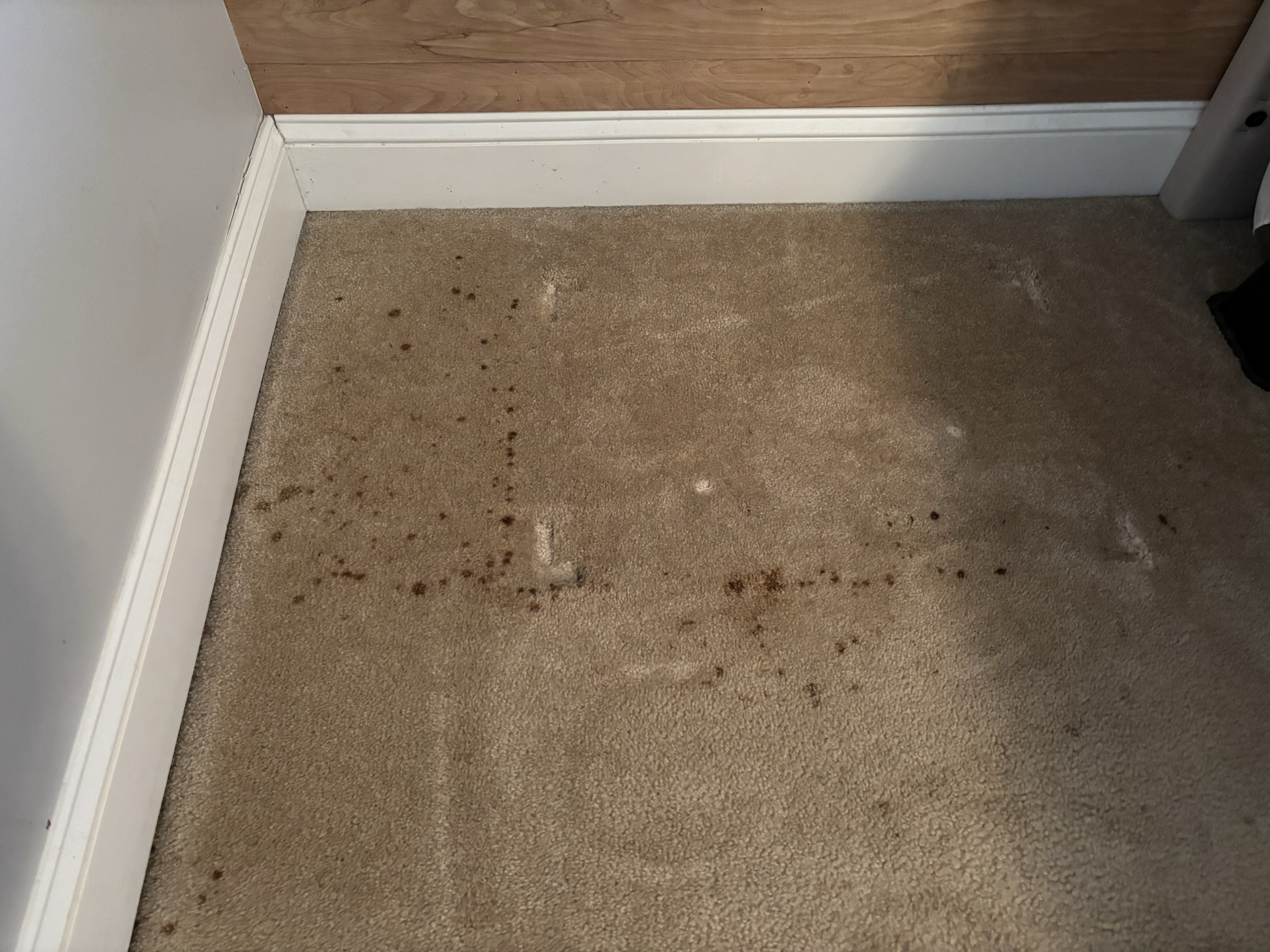 Voda Cleaning & Restoration Image