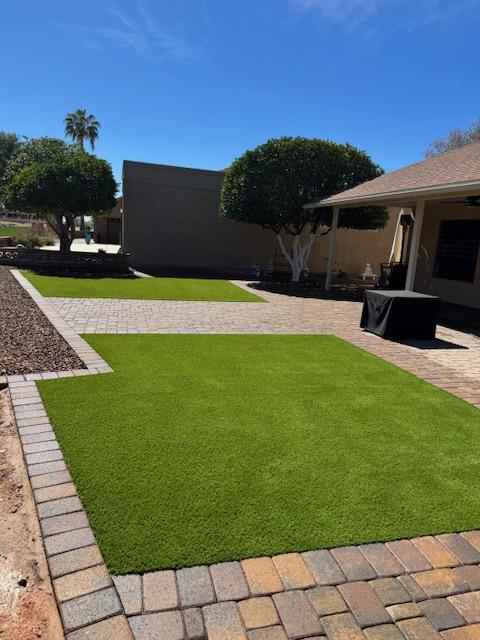 Waterloo Turf Scottsdale Image