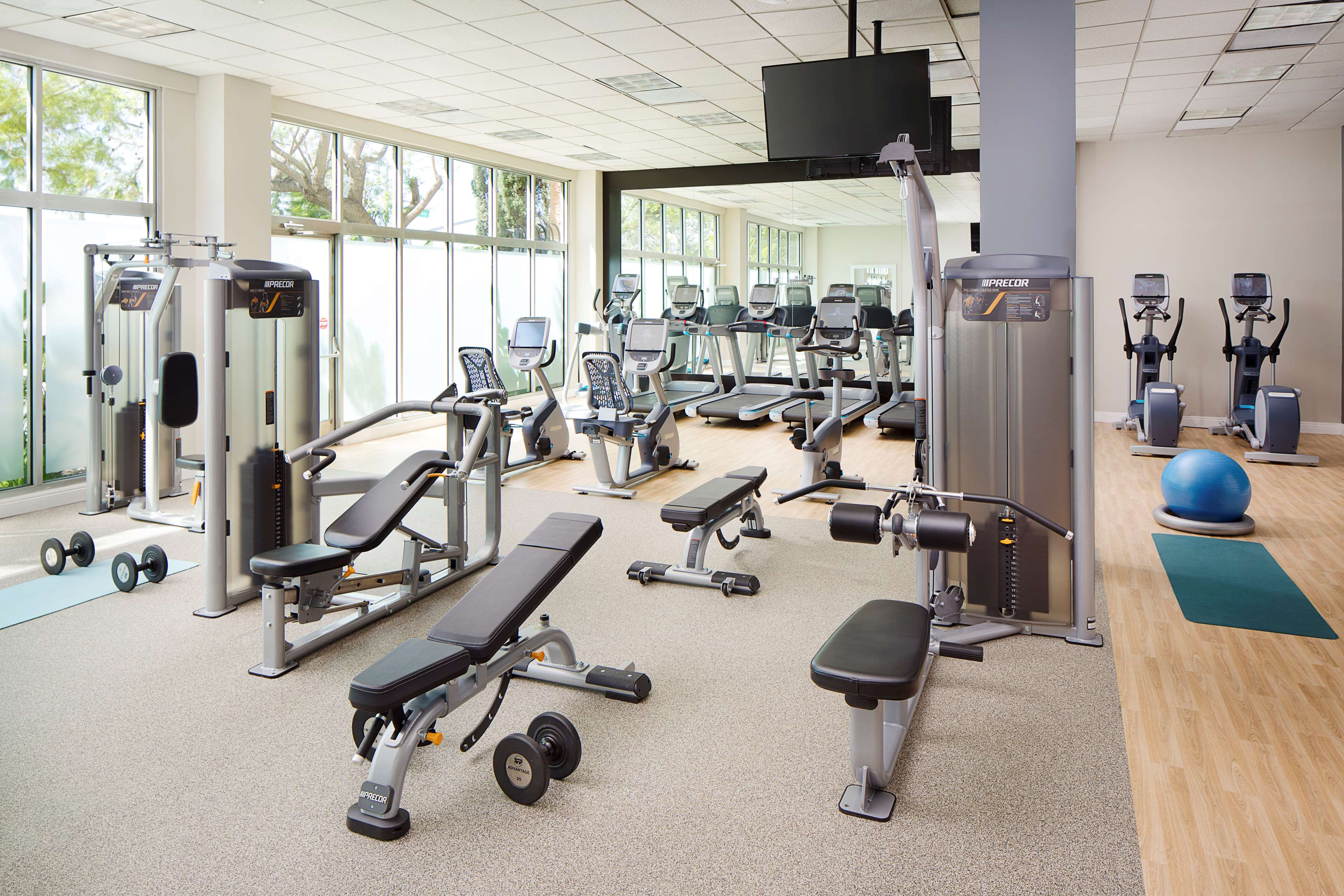 Health club  fitness center  gym