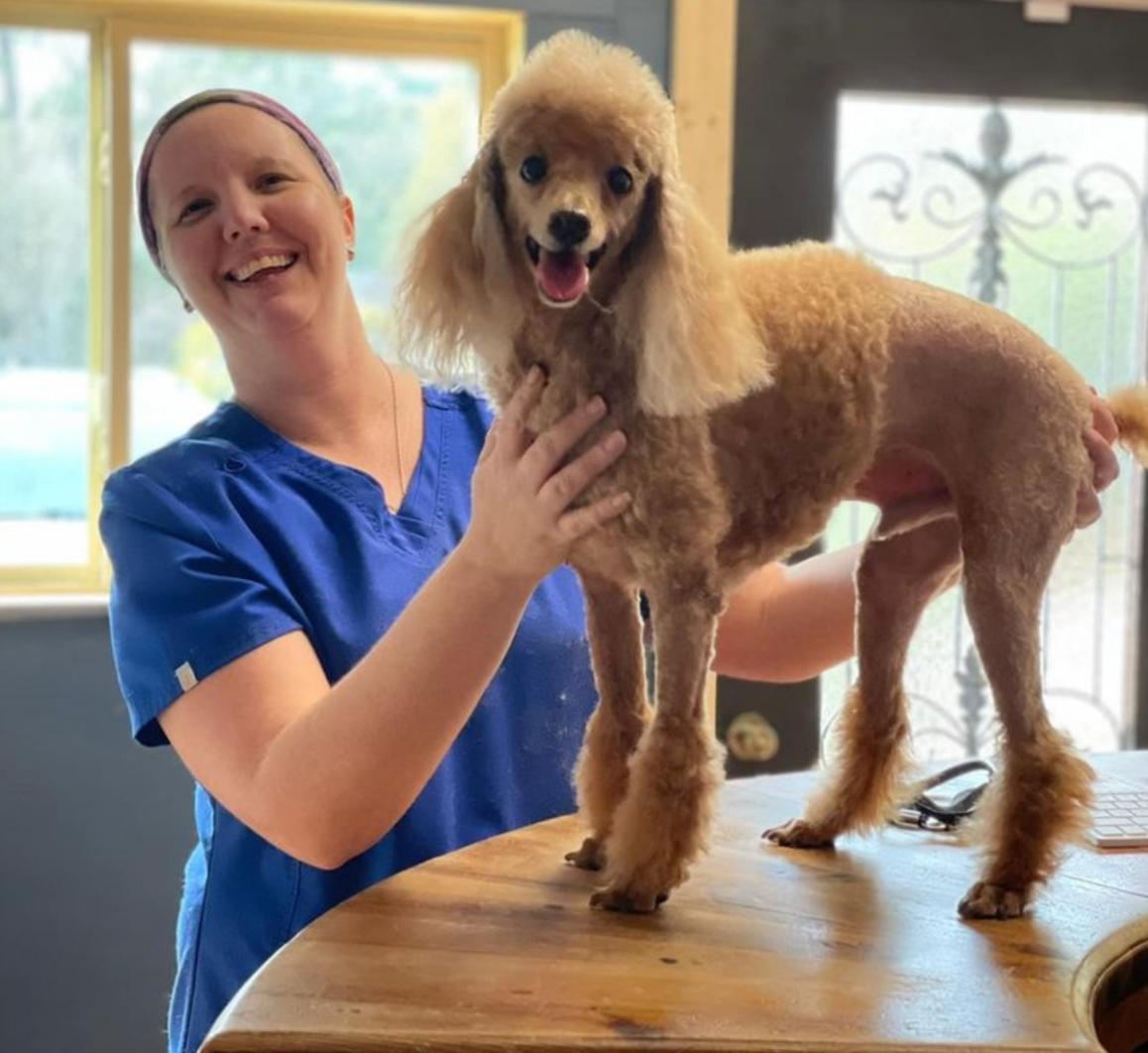 Woodlands Doggie Village - Board Play Spa