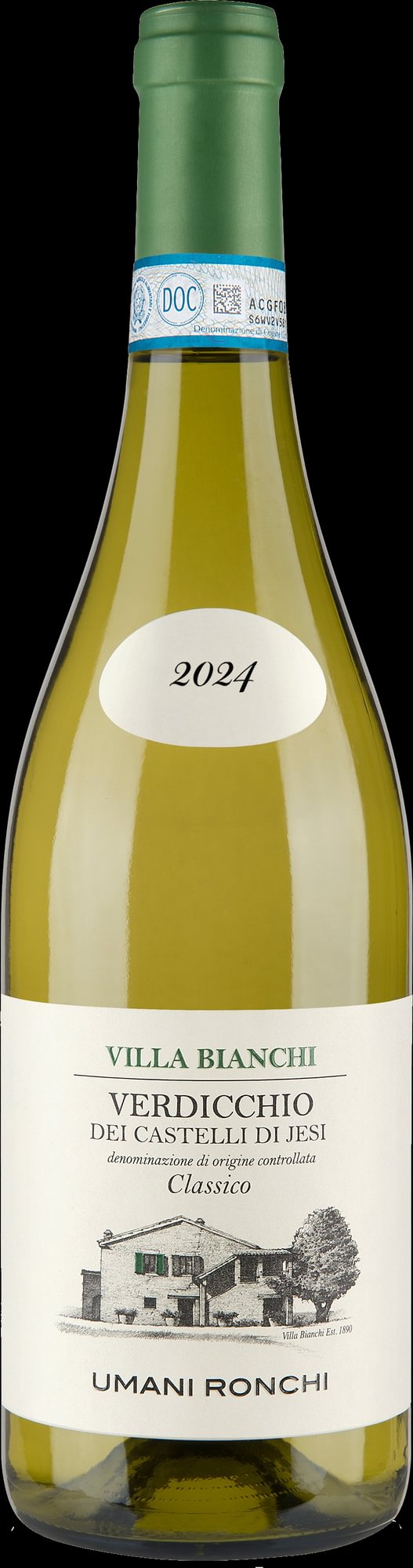 (B) Verdicchio Castelli, Umani Ronchi
