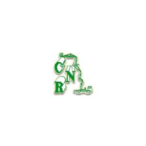 Logo di CENTRO NOLEGGI ROMAGNA