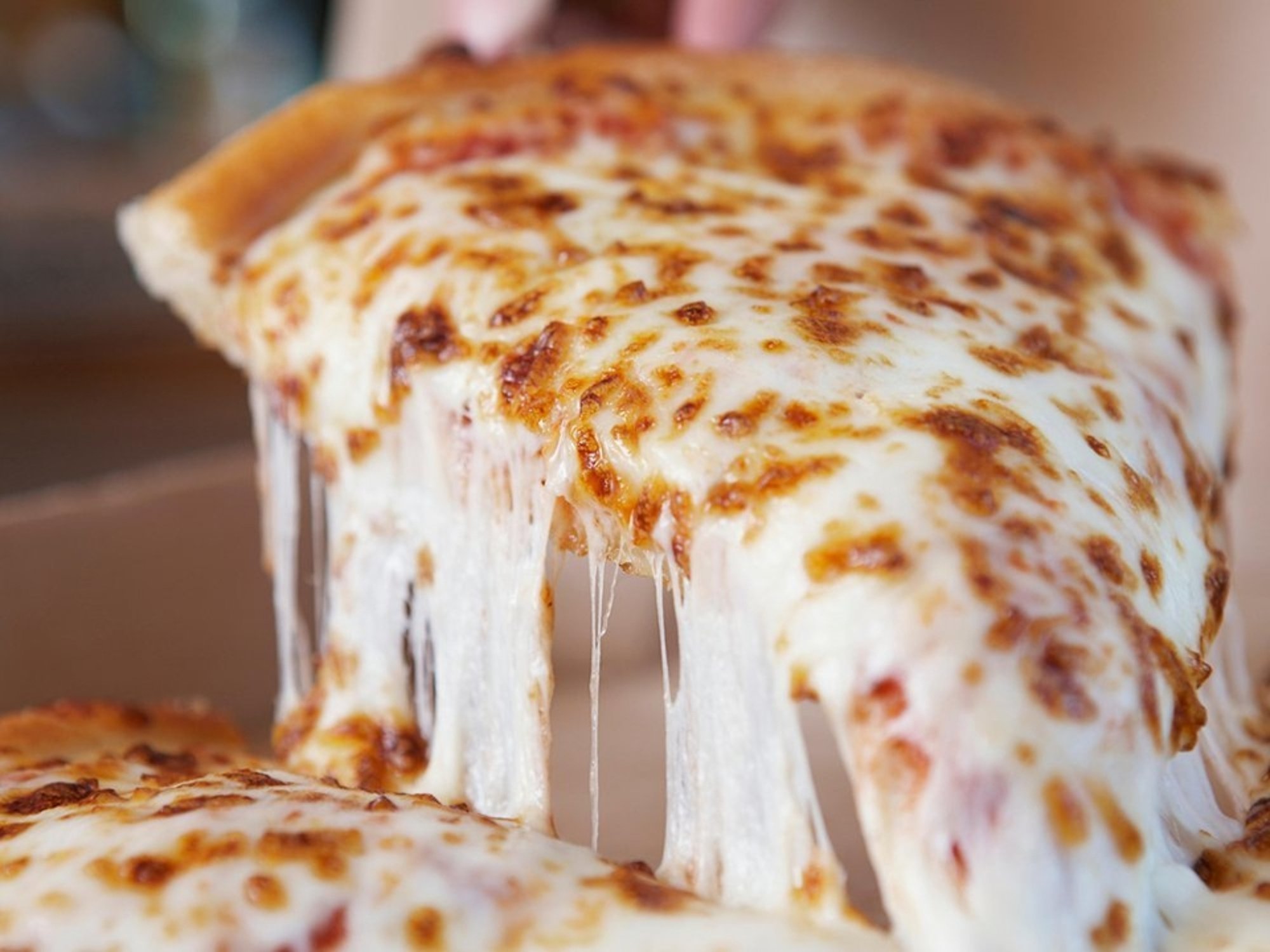 Cheese Pizza