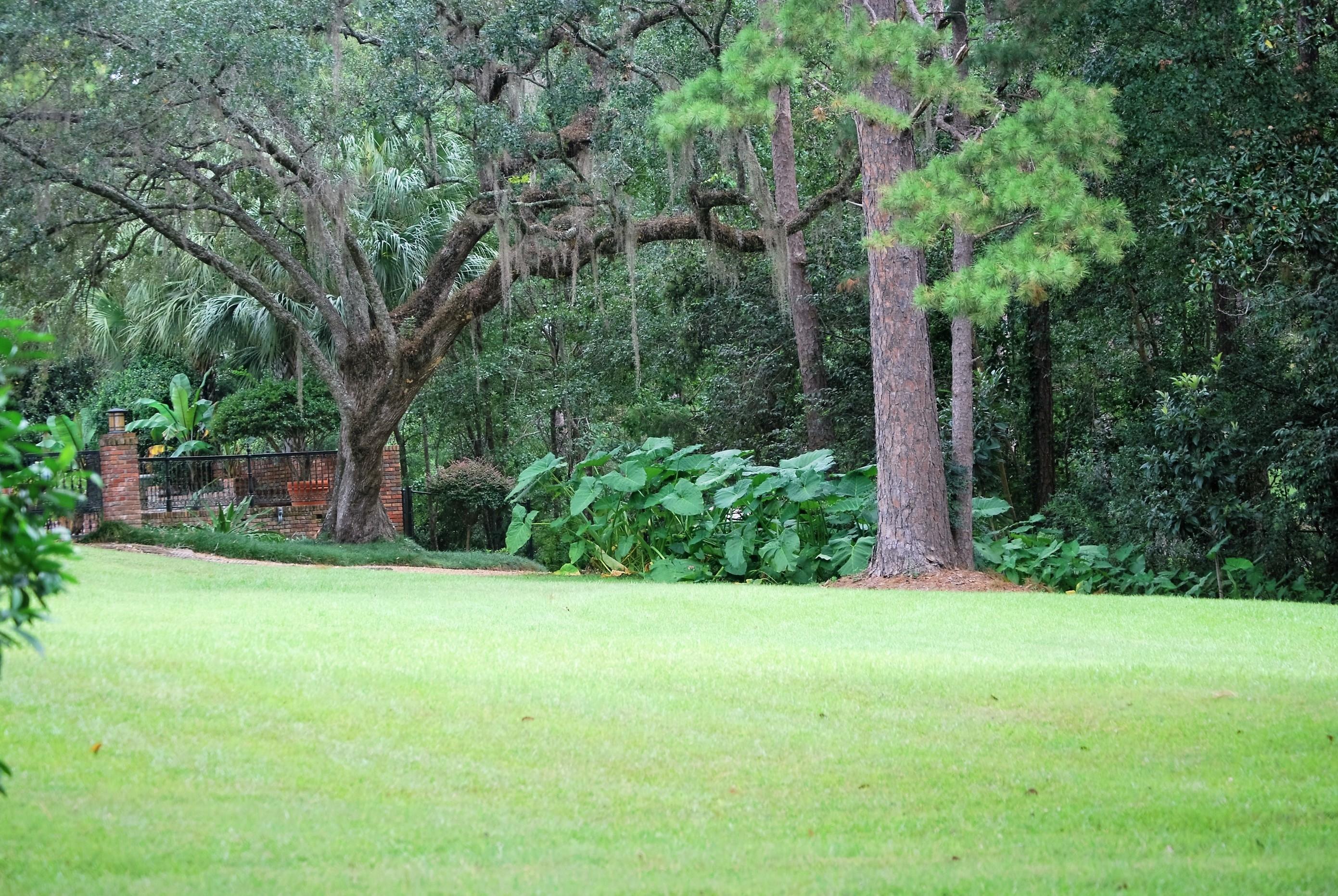 Dickerson Landscaping & Lawn Care | Tallahassee, FL Image