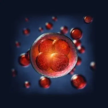 PalinGen Amniotic Tissue Therapy