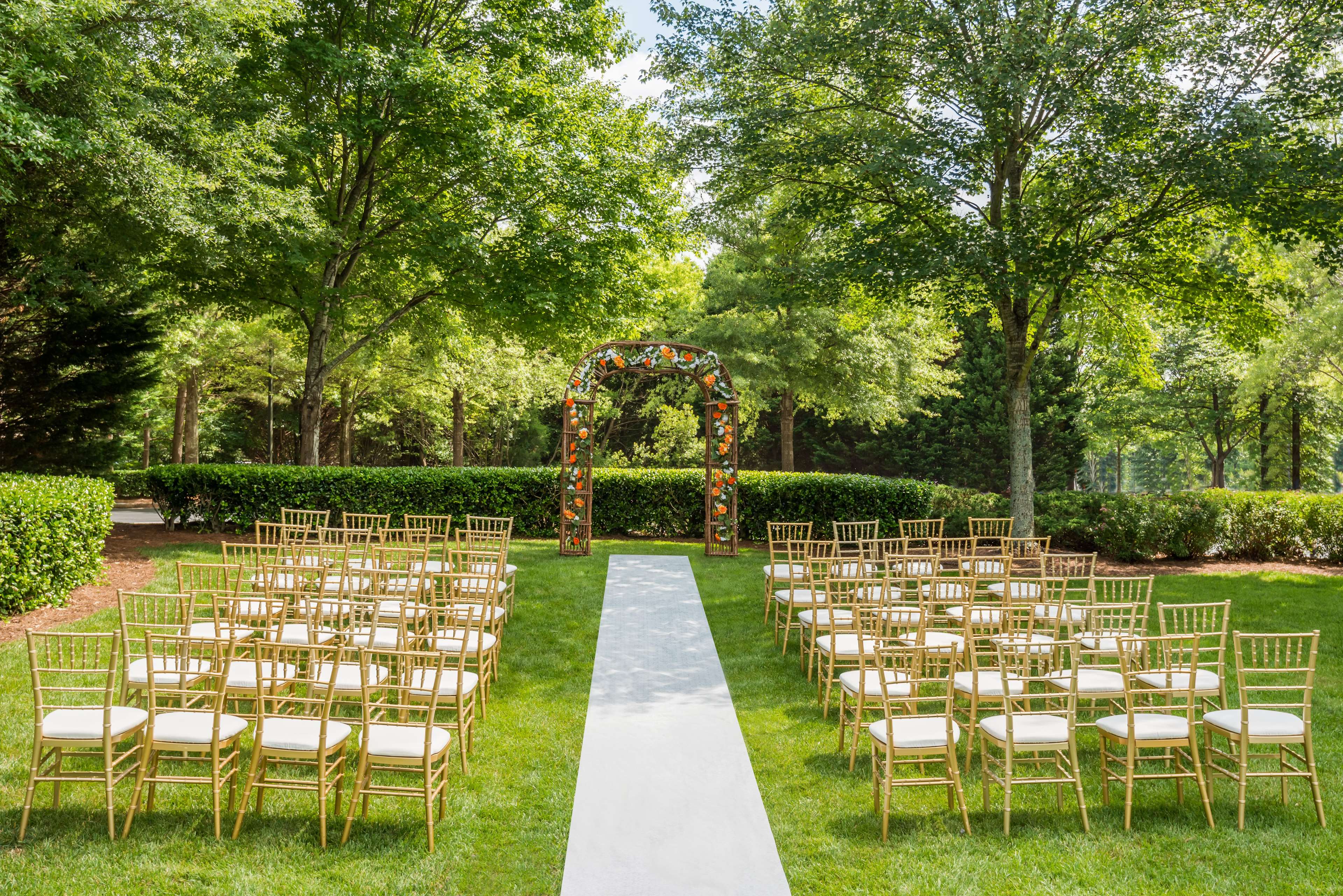 Hilton Garden Inn Atlanta North/Alpharetta Photo