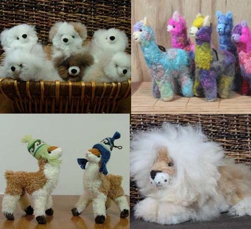 Blue Mesa Alpacas Image