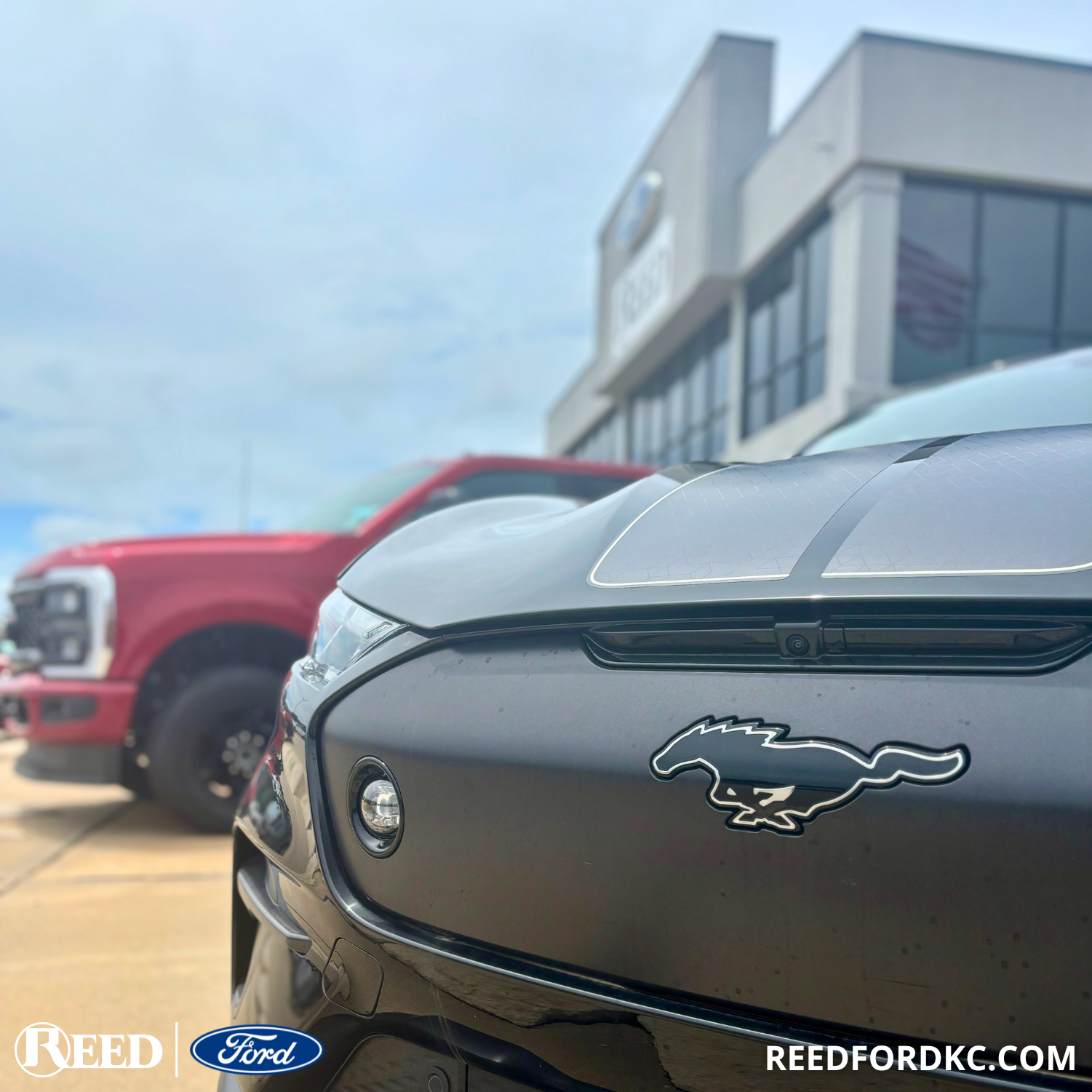 Reed Ford of Harrisonville Image