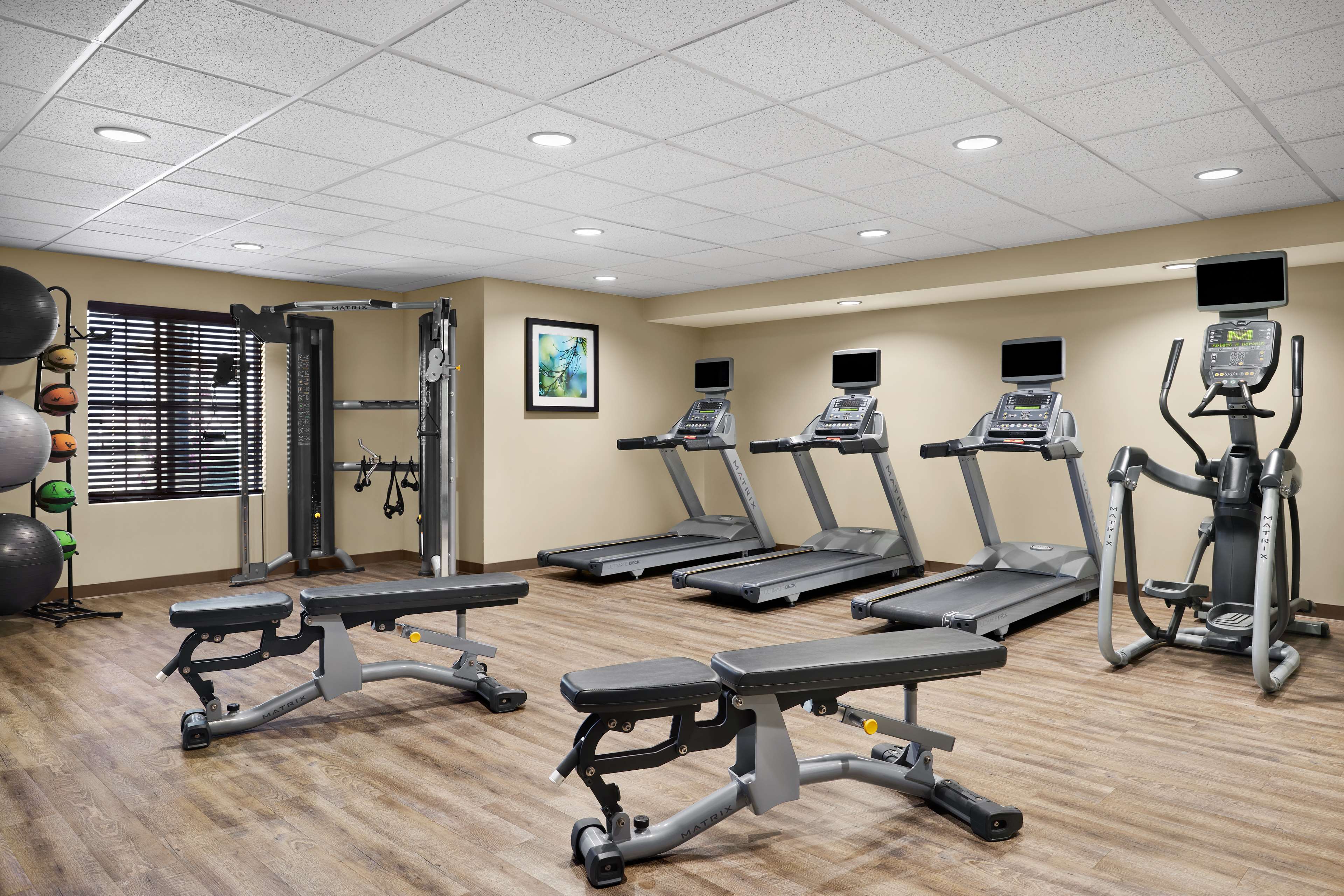 Health club  fitness center  gym