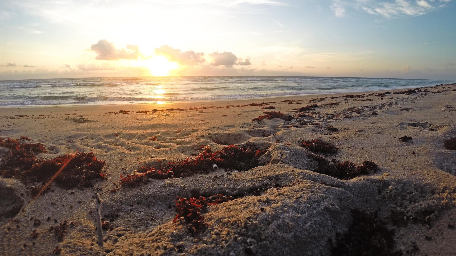 Freeman Ventures, LLC Logo