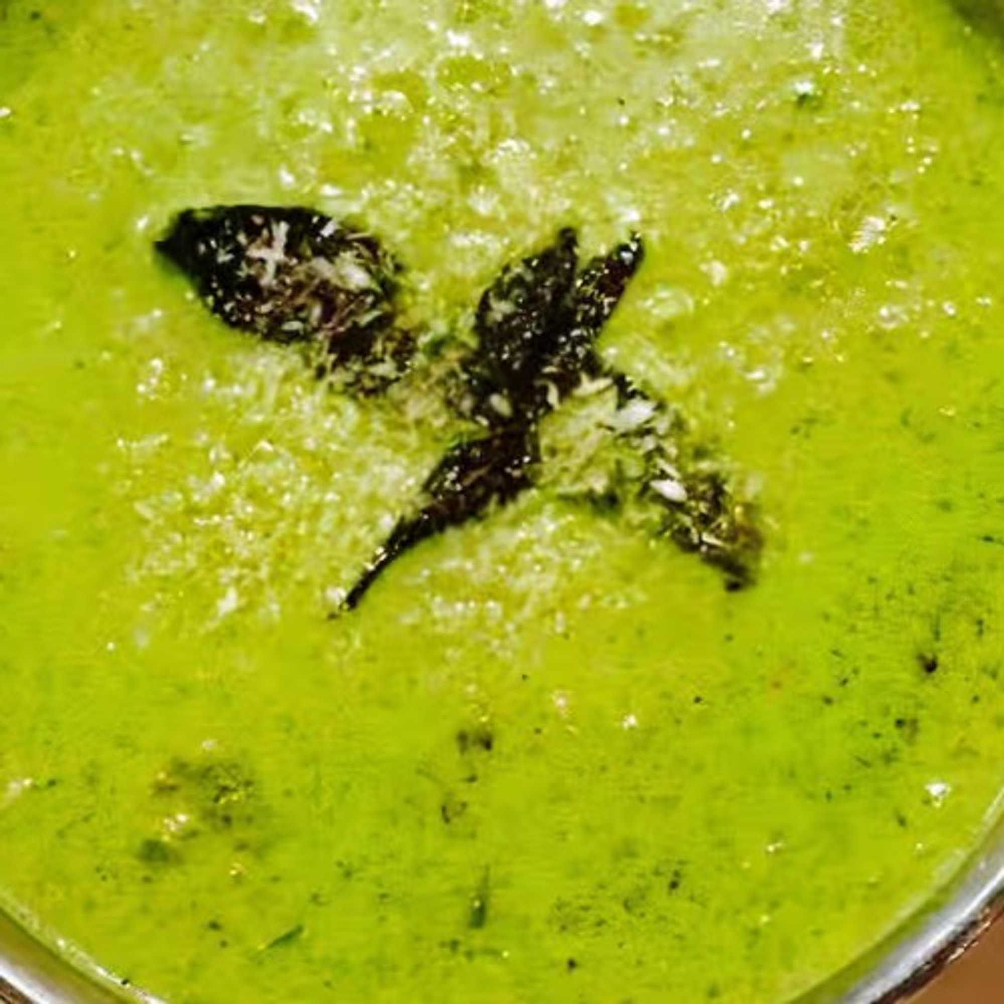 Nilgiri