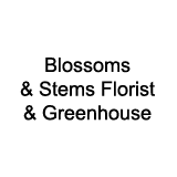 Blossoms & Stems Florist & Greenhouse Photo