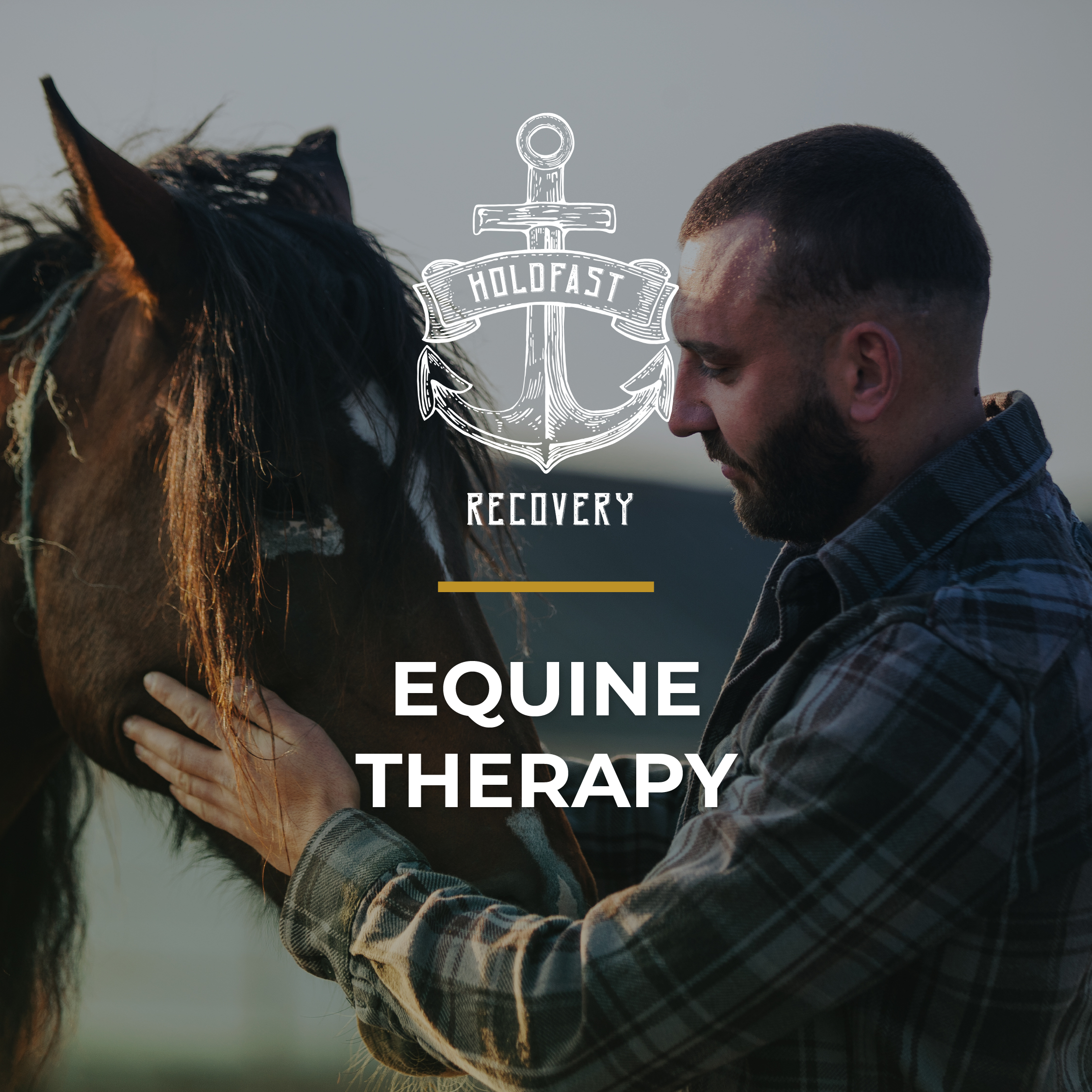 Equine Therapy