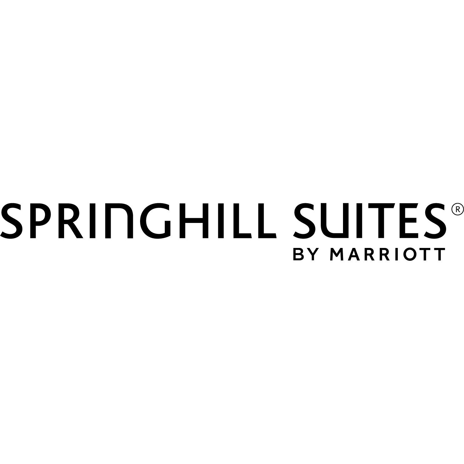SpringHill Suites by Marriott Chicago Downtown/River North