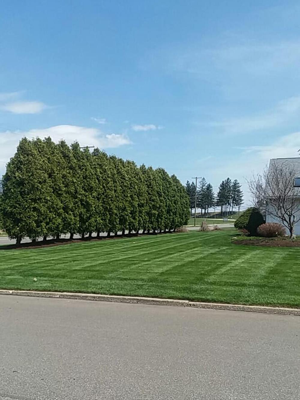 Good View Lawn Care Image