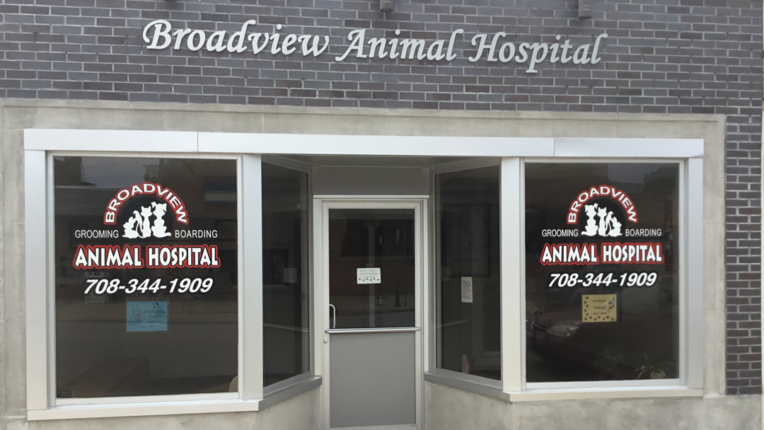 Broadview Animal Hospital Photo