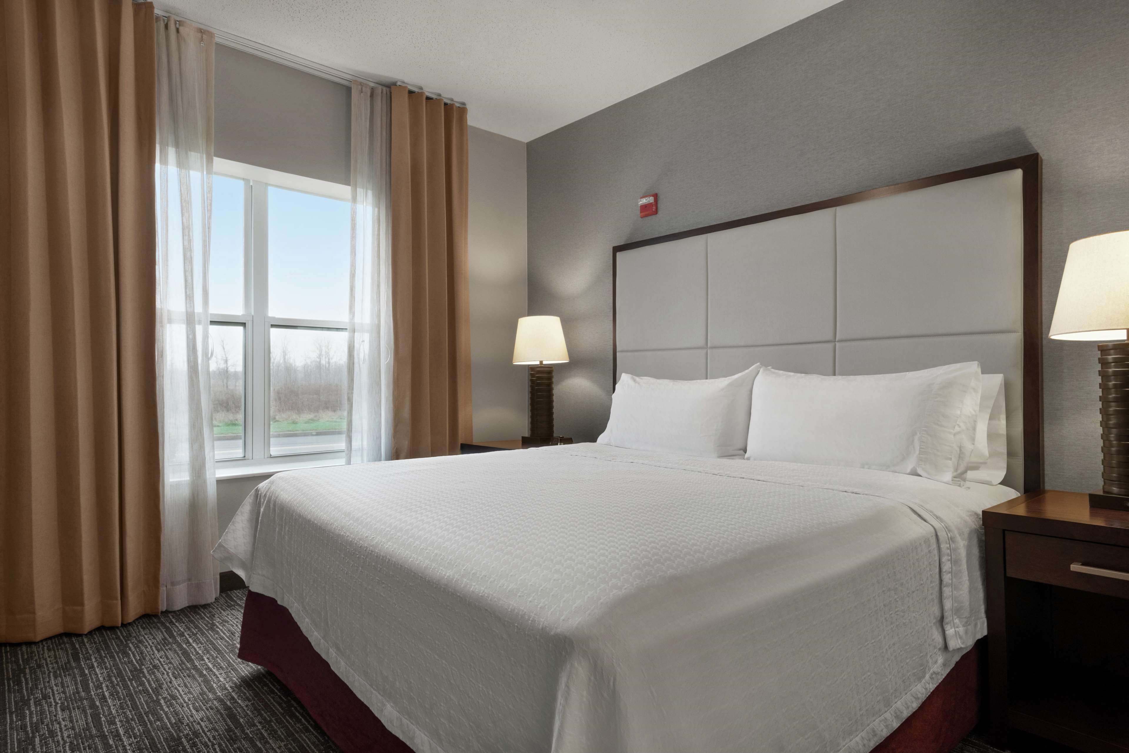 Homewood Suites by Hilton Rochester/Henrietta Photo