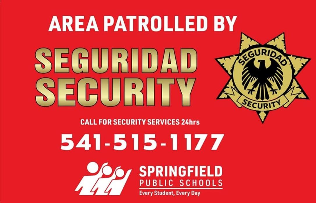 Seguridad Security Image
