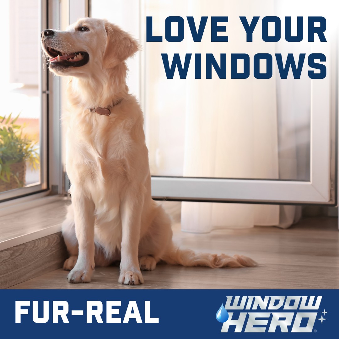 Window Hero Charlotte Image