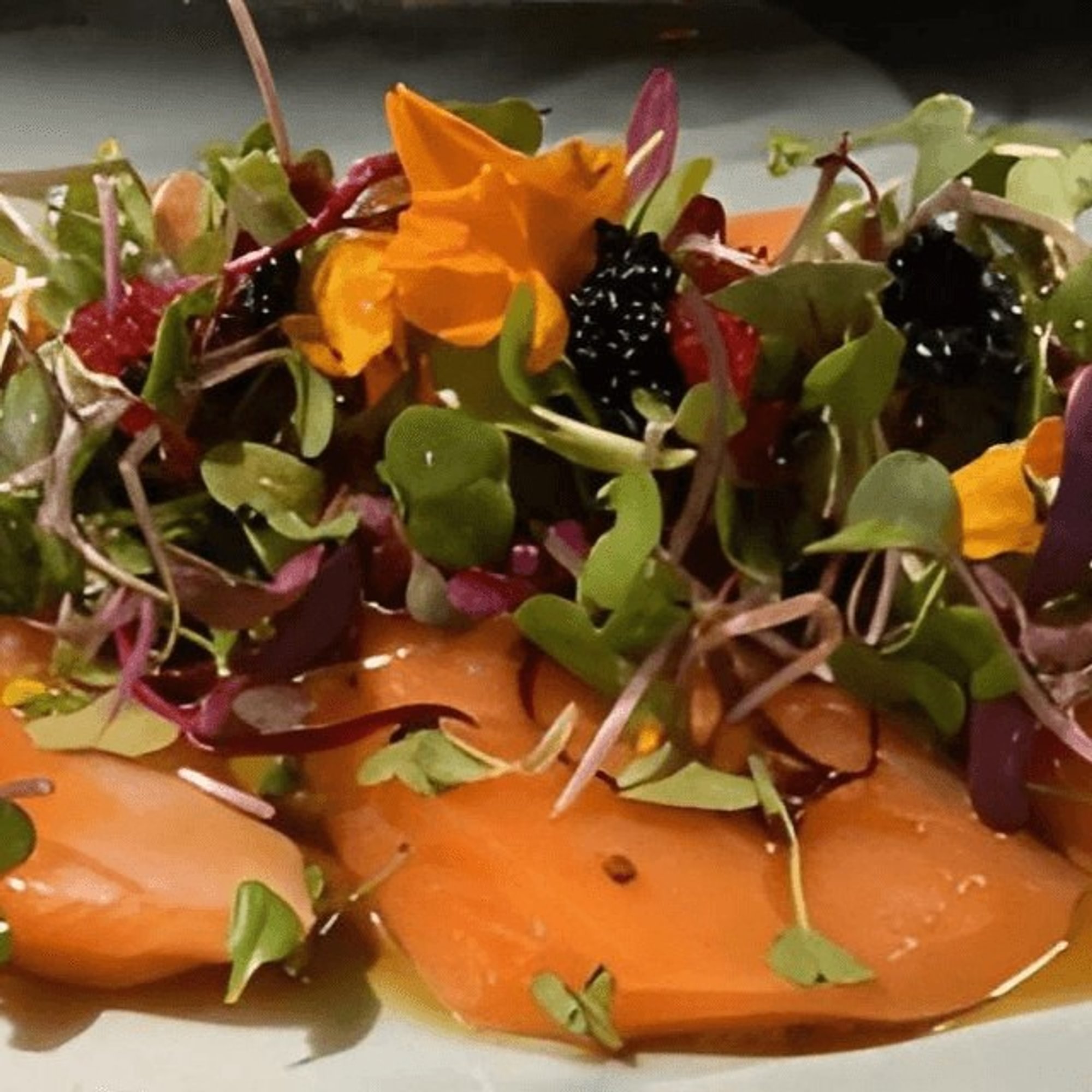 Salmon Carpaccio