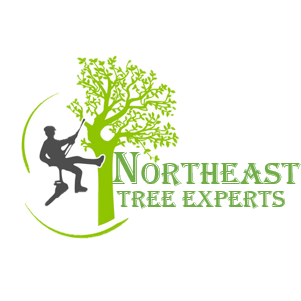 Northeast Tree Experts Logo