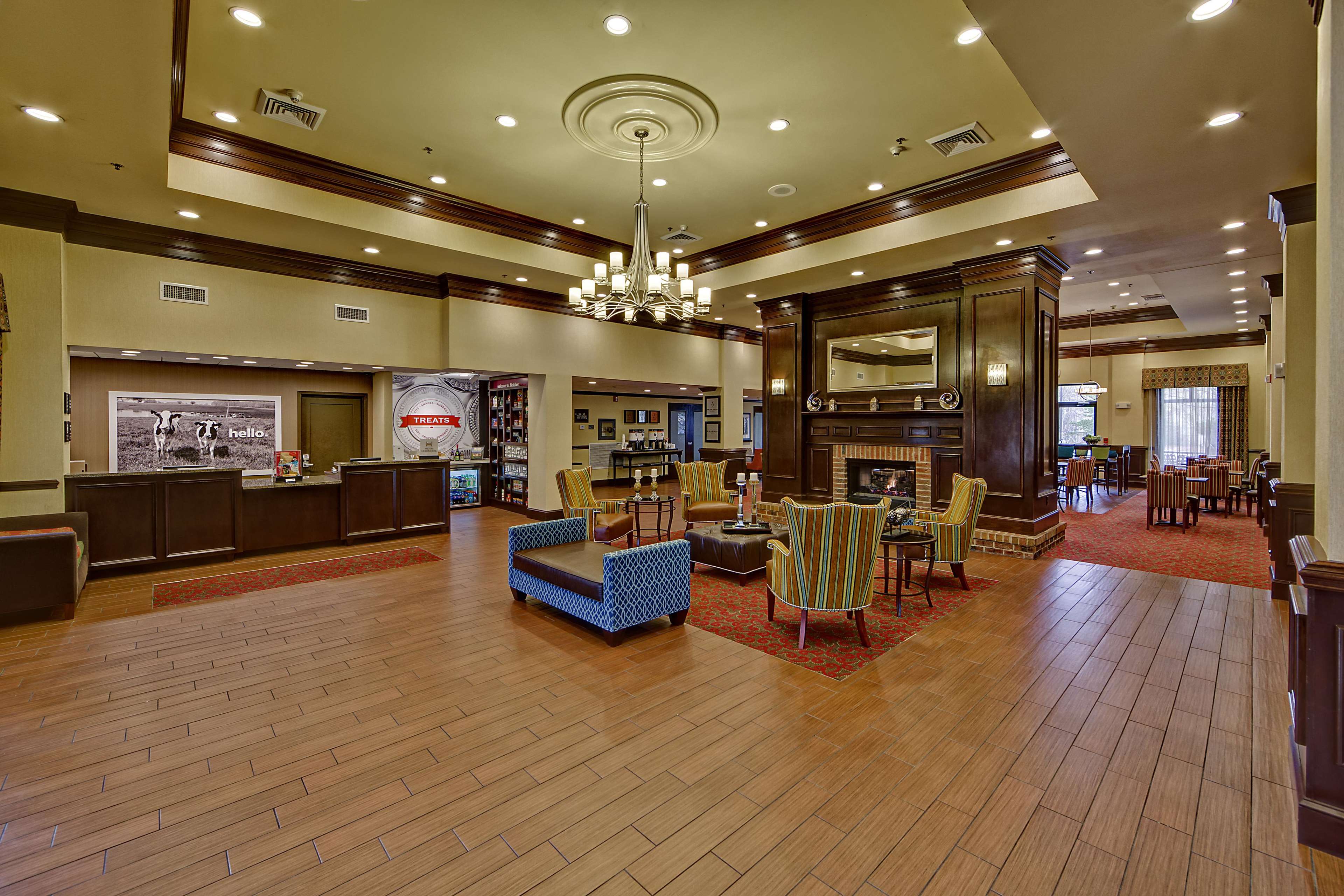 Hampton Inn & Suites Asheville-I-26 Photo