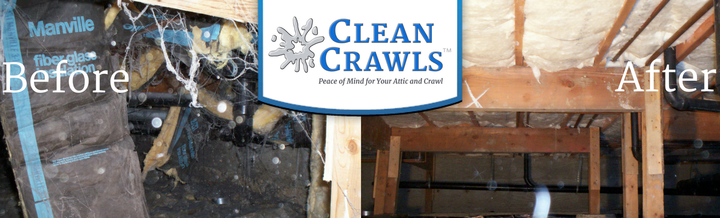 Clean Crawls – Insulation Install & Removal: Seattle Photo