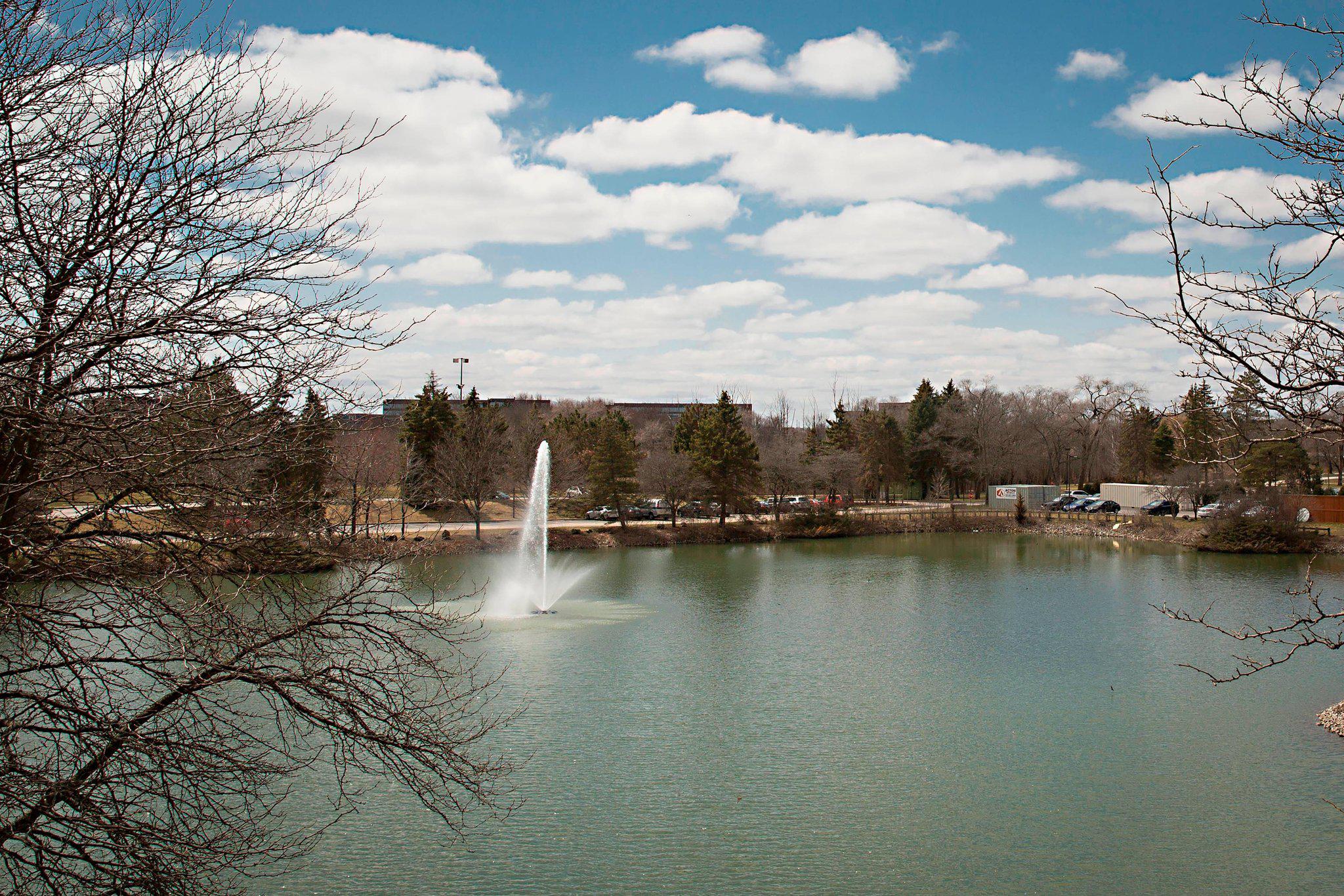 Lincolnshire Marriott Resort Photo