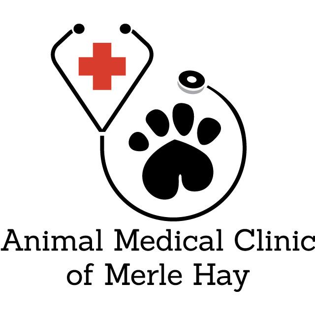 Animal Medical Clinic Photo