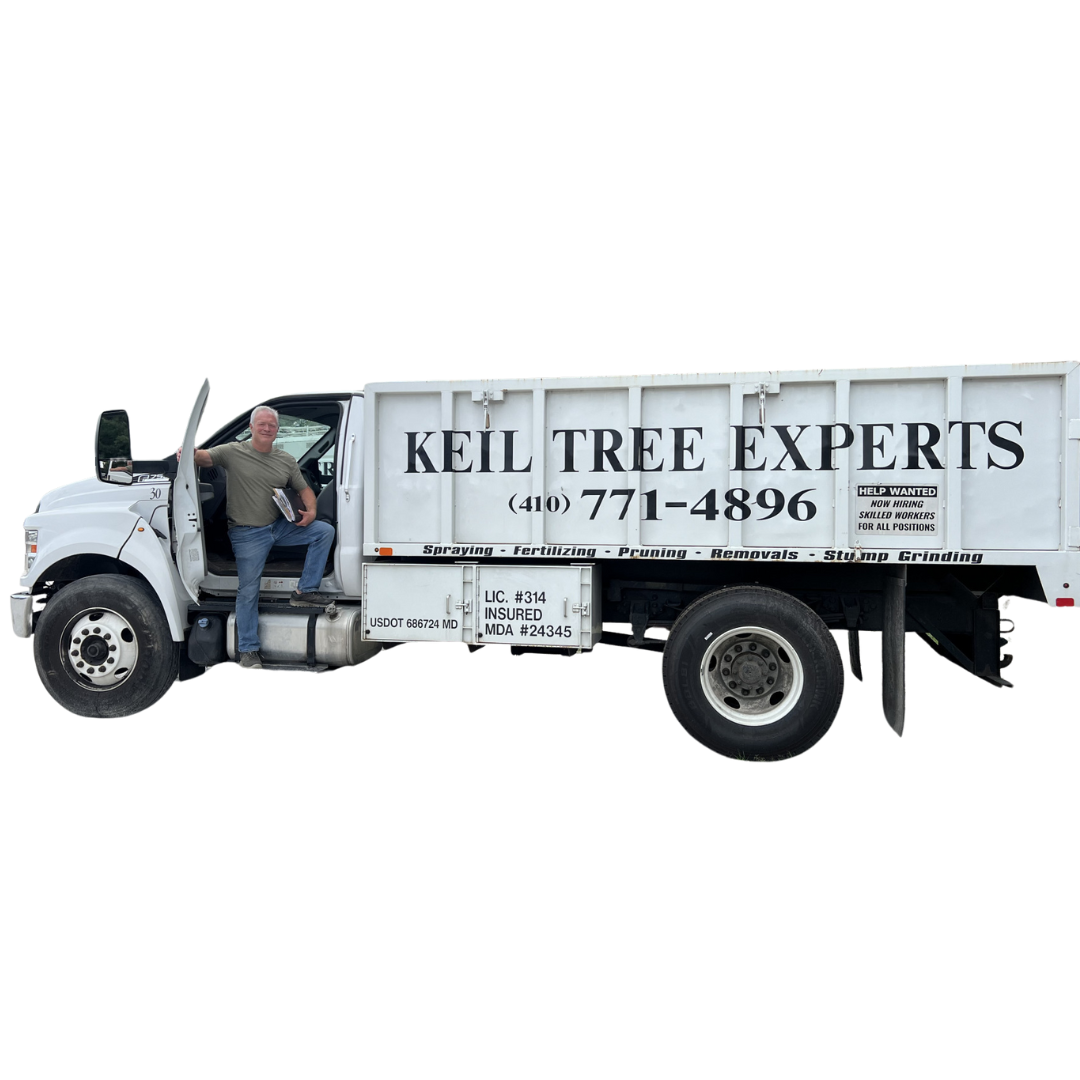 Keil Tree Experts Inc Image
