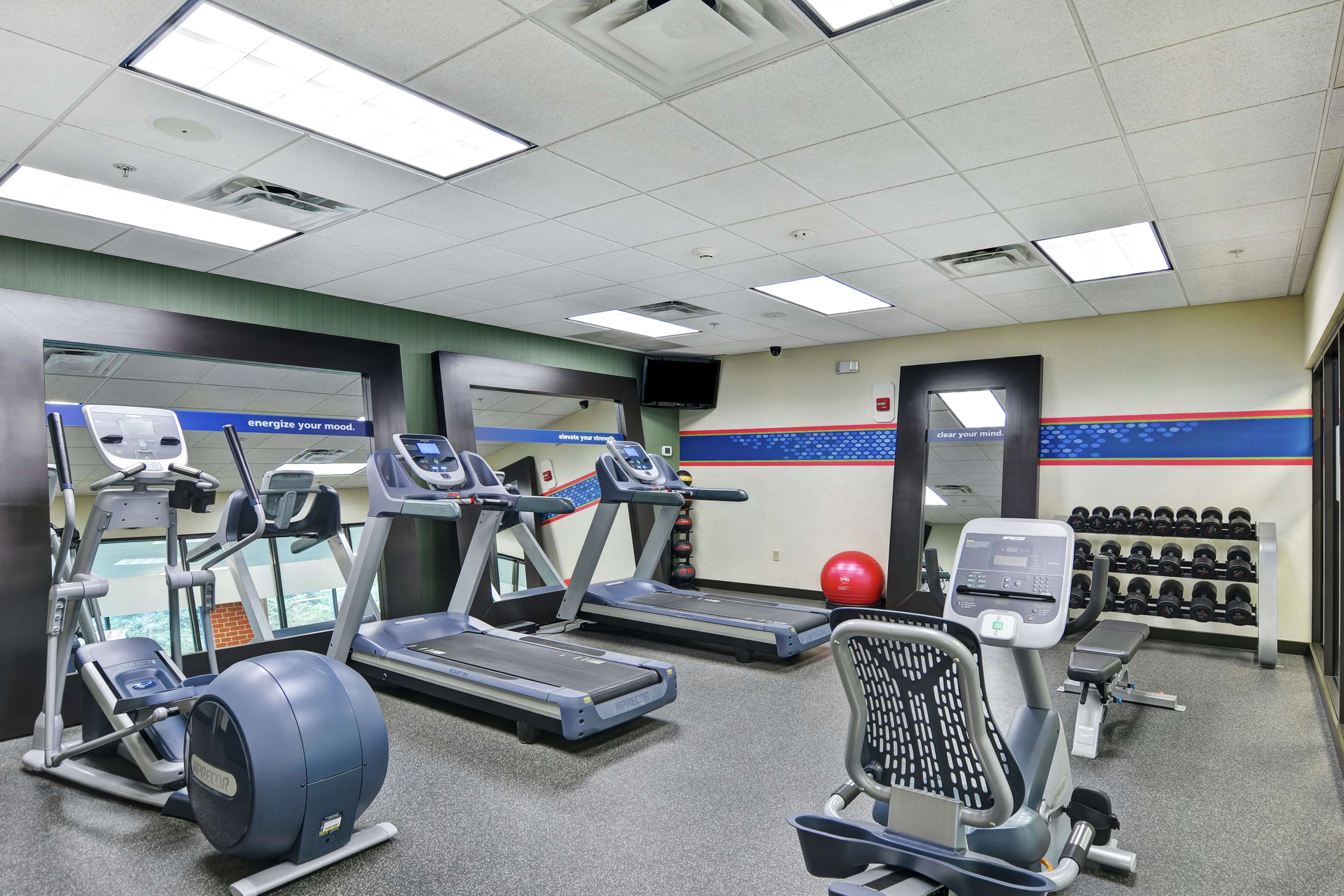 Health club  fitness center  gym