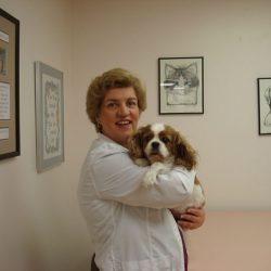 Clearview Veterinary Hospital Photo