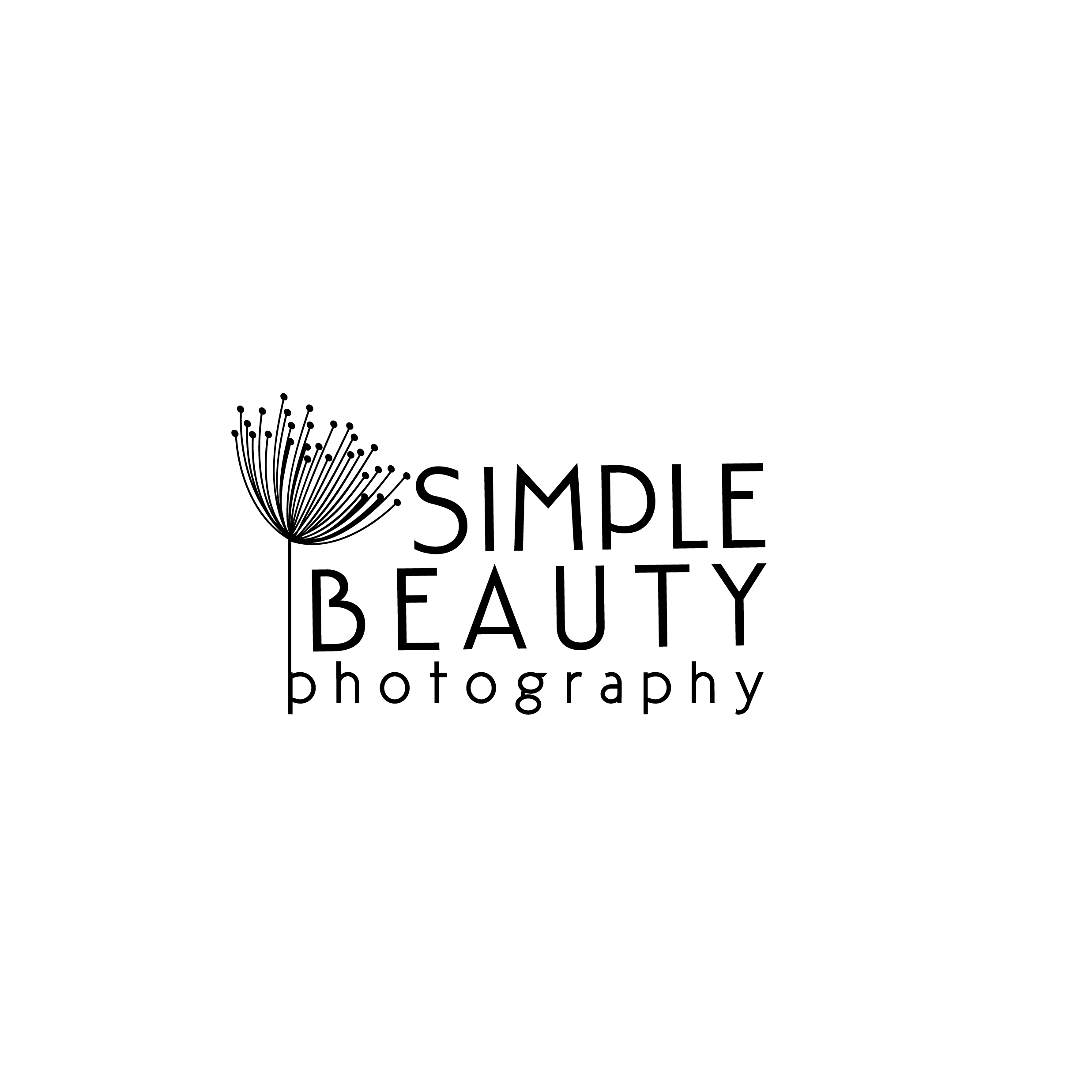 Simple Beauty Photography Logo