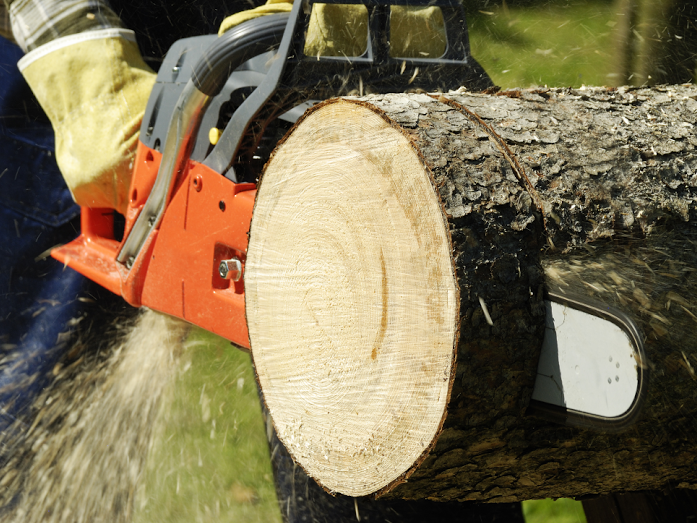 S&S Tree Service Image