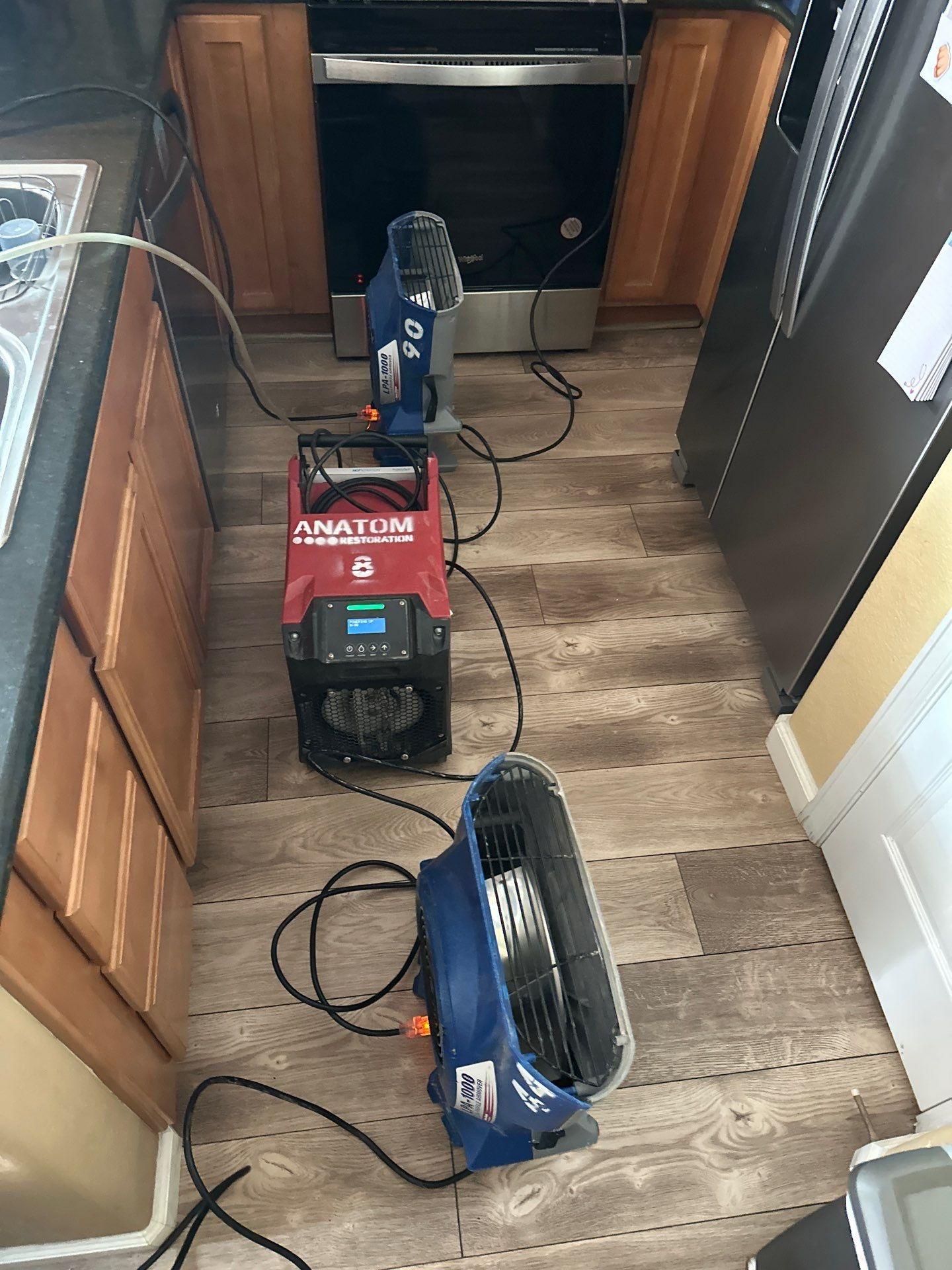 Anatom Restoration Image