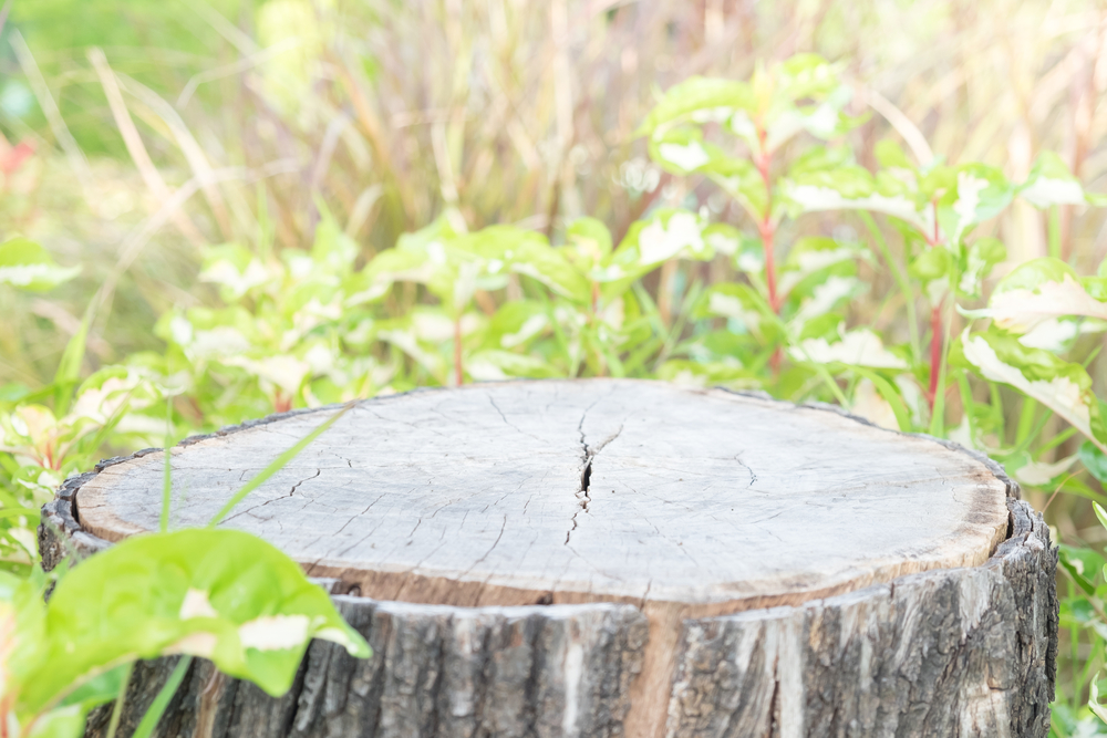 Russell's Irrigation &amp; Landscaping Logo