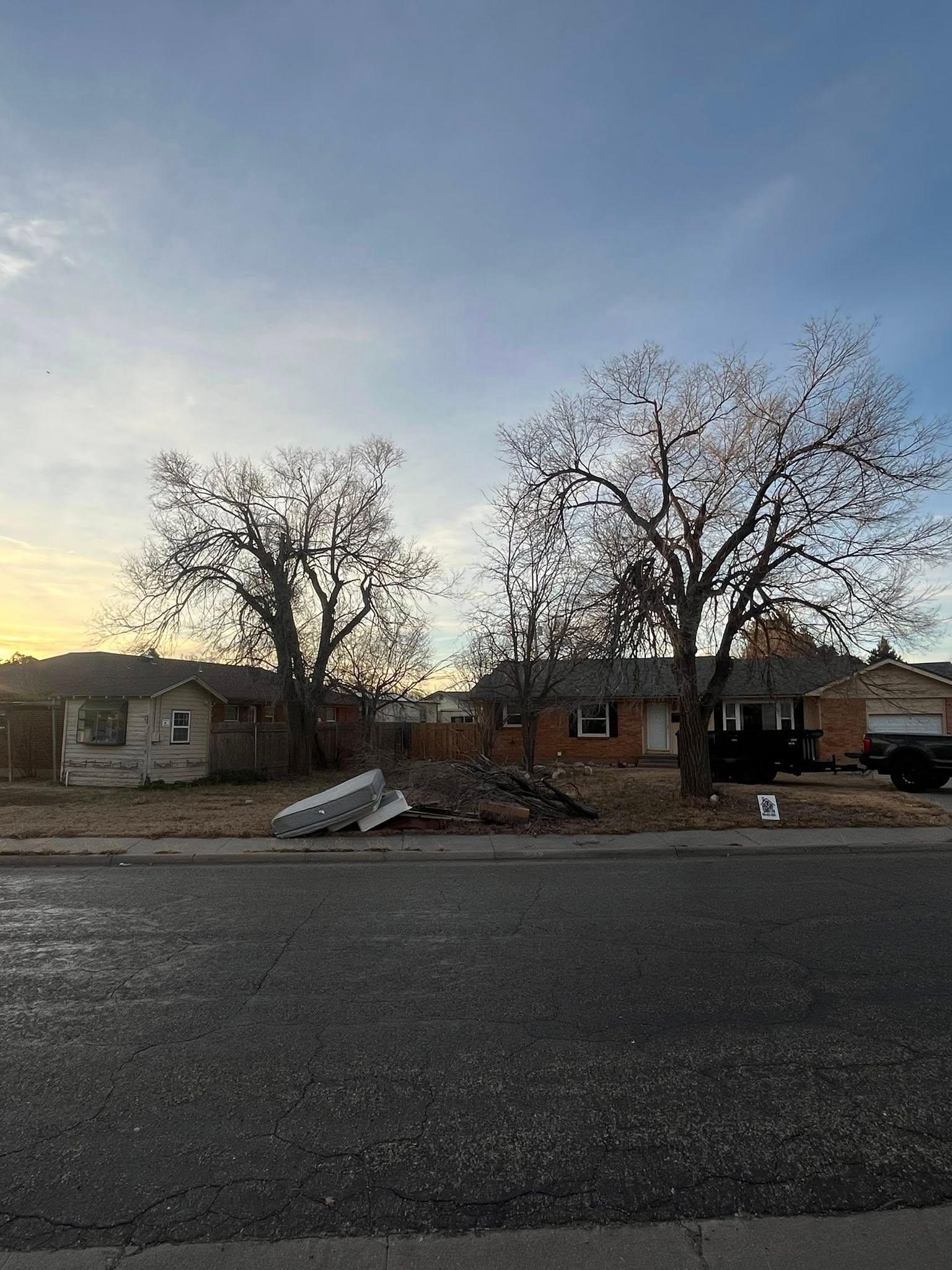 Off The Court Property Maintenance (DBA Amarillo Tree Removal) Image